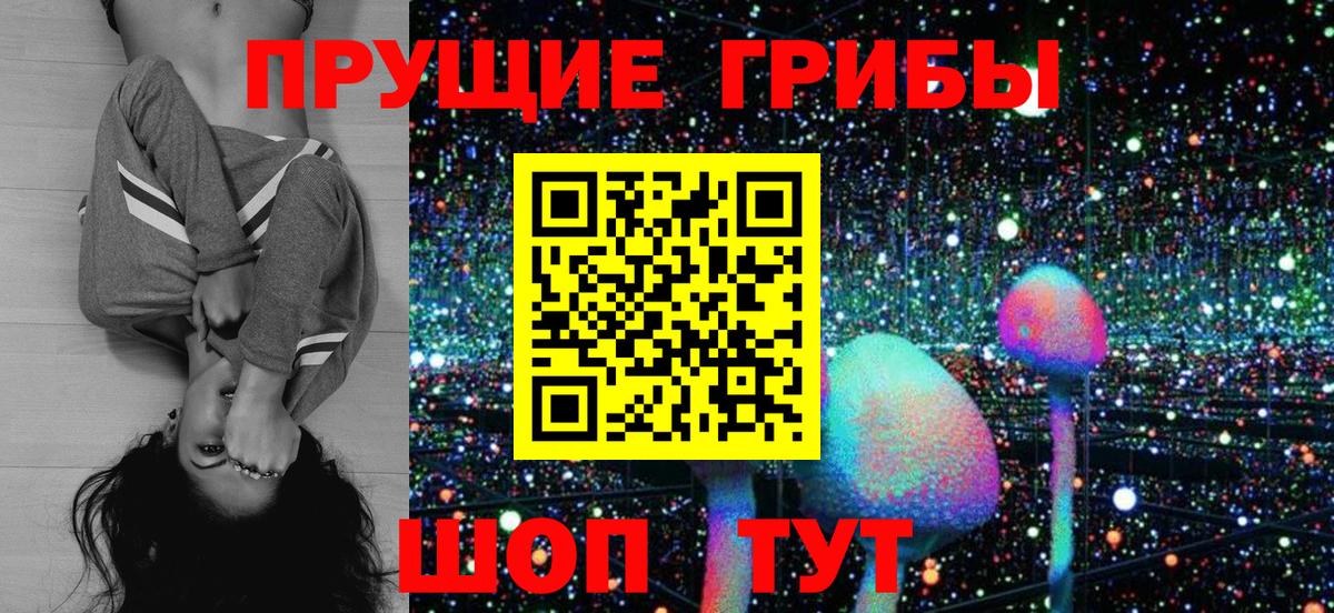 Галлюциногенные грибы Psilocybe Кашира