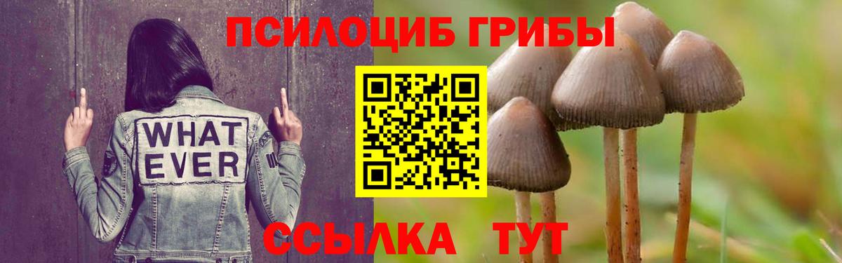 Галлюциногенные грибы GOLDEN TEACHER  Вход с VPN  как найти наркотики  Кашира  Псилоцибиновые грибы прущие грибы 